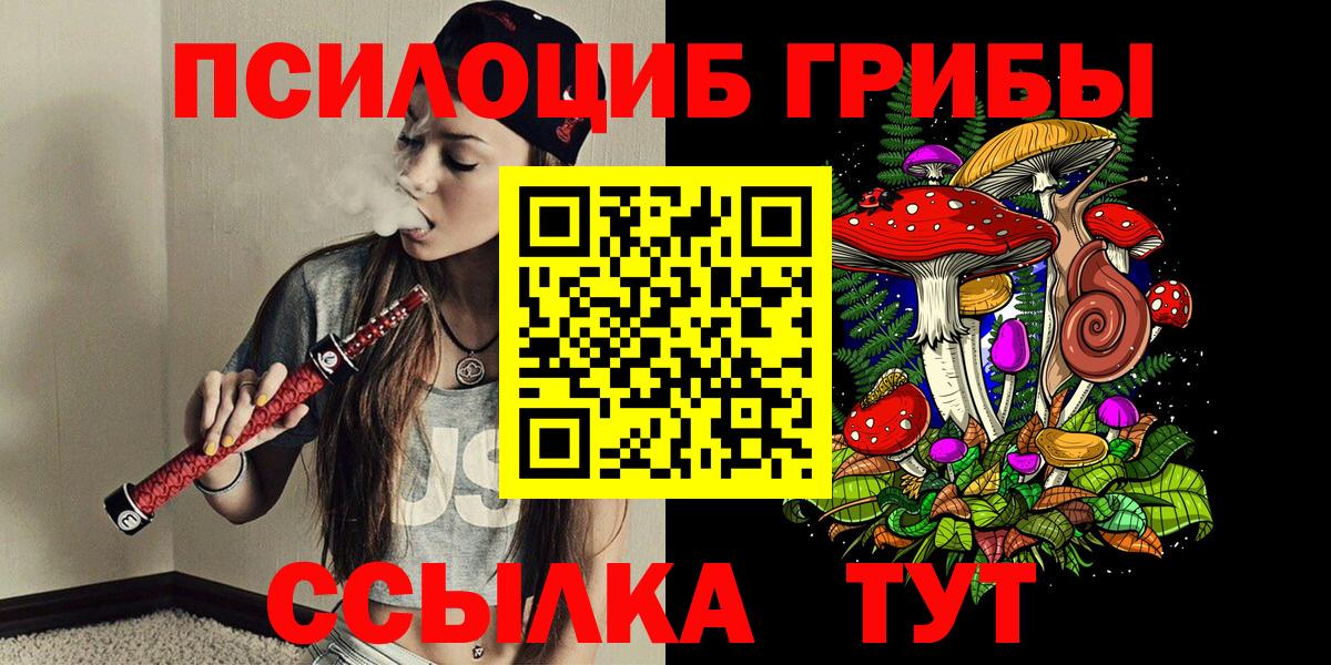 Галлюциногенные грибы MAGIC MUSHROOMS  купить наркоту  Черкесск  Вход с VPN 
